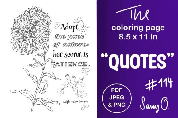 Dahlia Nature Emerson: Patience in Every Petal