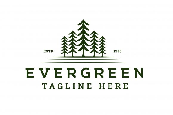Pine and Spruce: Crafting a Timeless Brand with Vintage Hipster Style